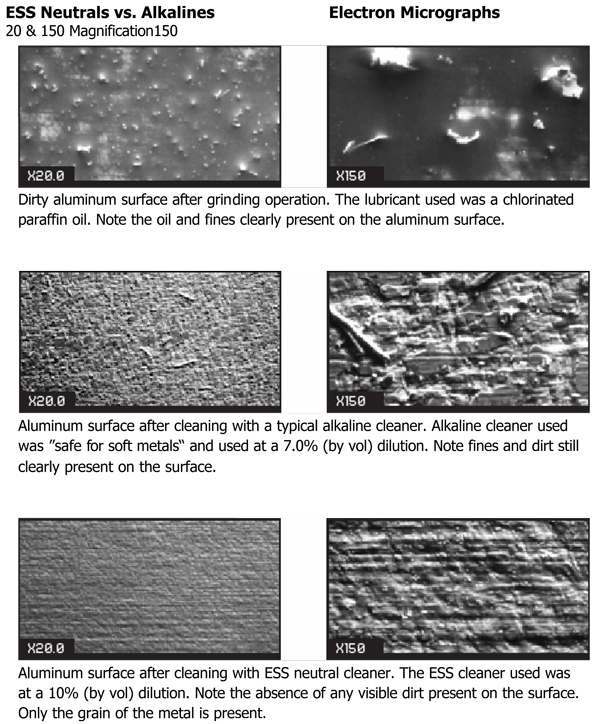 ElectronMicrographs