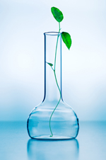 green_chem_for_blog7658